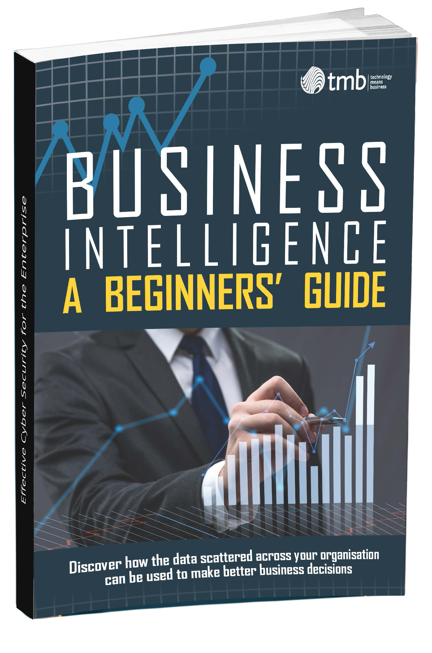 Business Intelligence guide