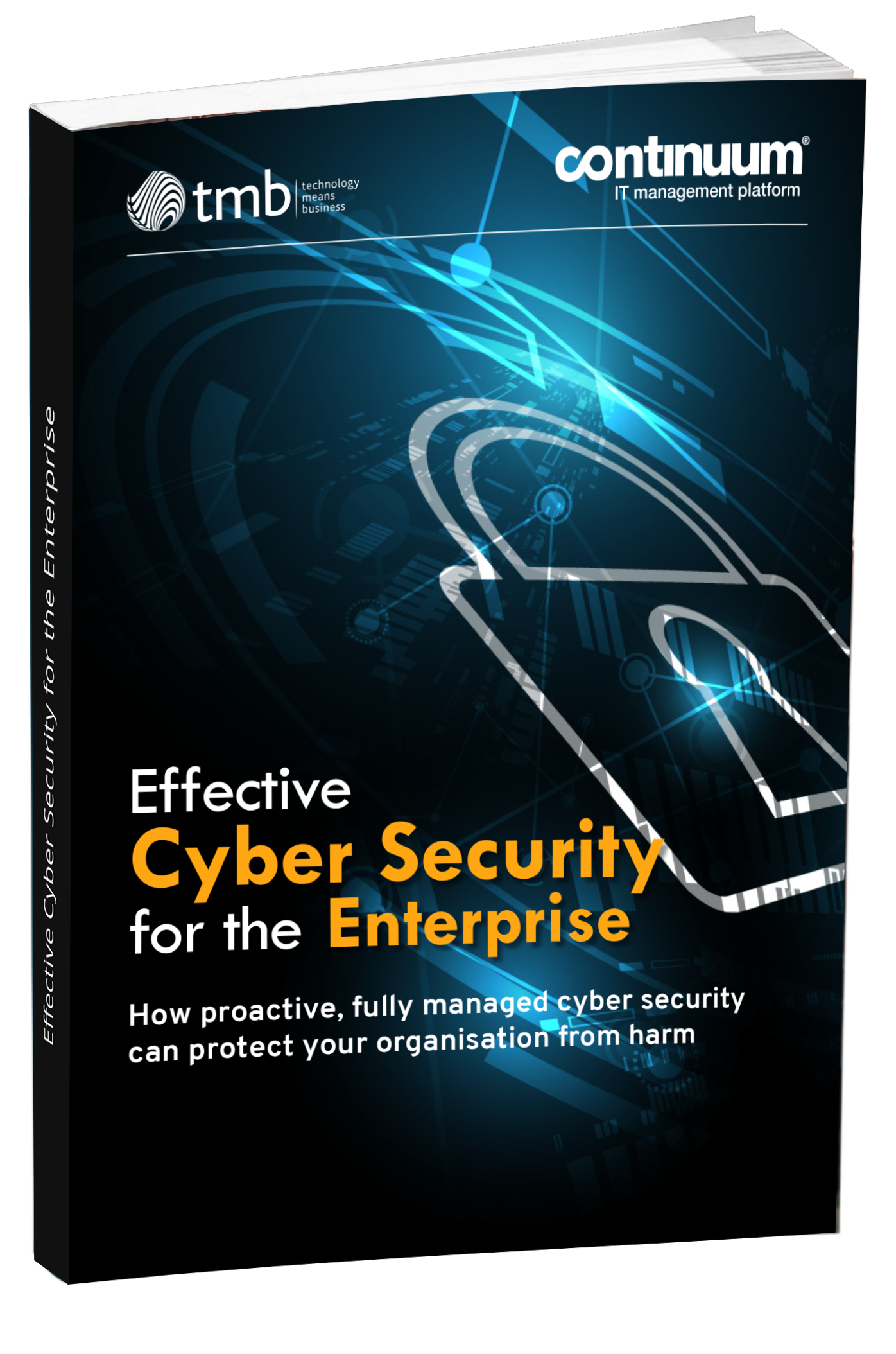 Enterprise Cyber security