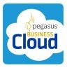 Pegasus Business Cloud Logo